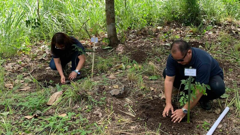 Philippines planting trees